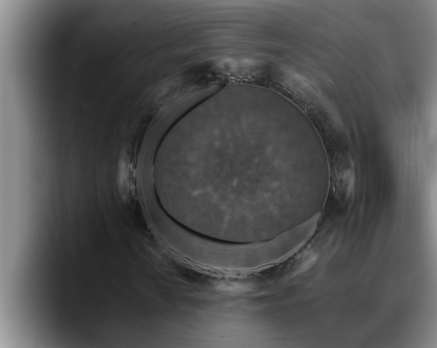 X0000090701010200707201153