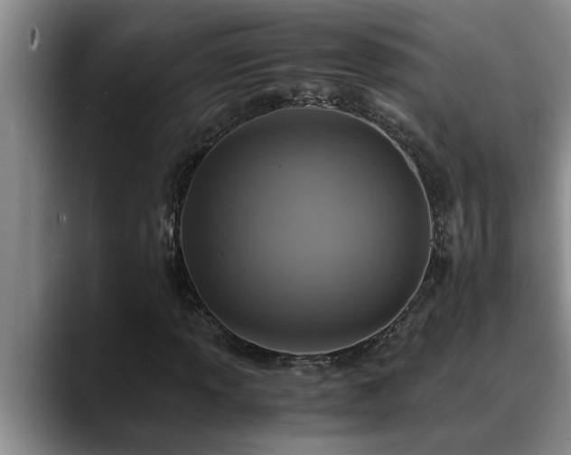 X0000090701013200707201153