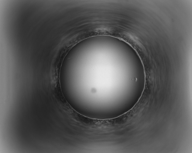 X0000090701015200707201153