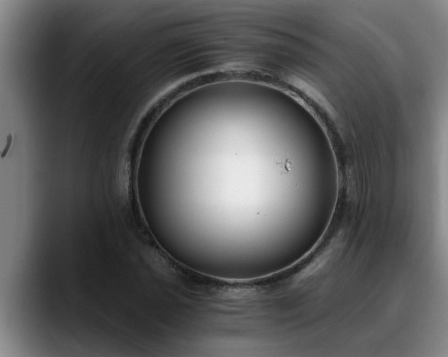 X0000090701021200707201153