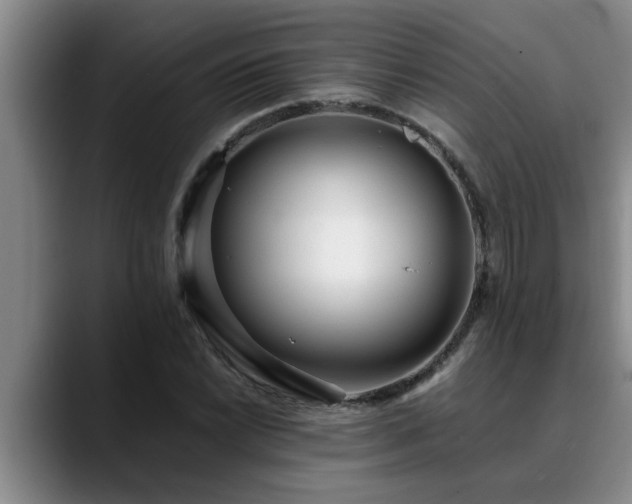X0000090701022200707201153