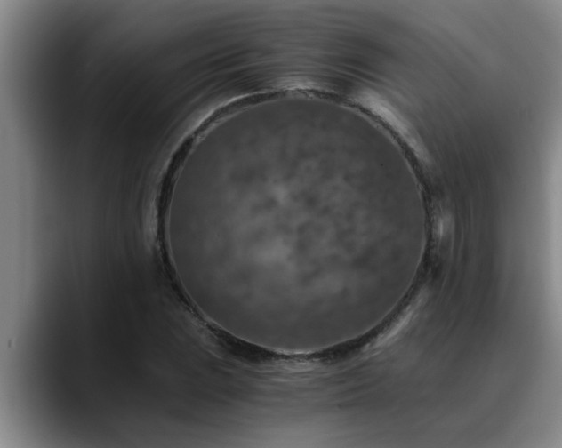 X0000090701023200707201153
