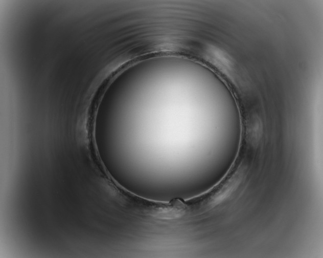X0000090701026200707201153