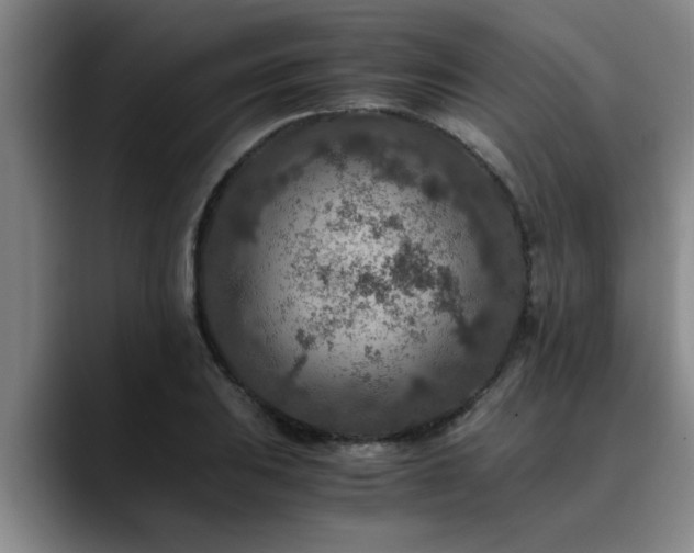 X0000090701031200707201154