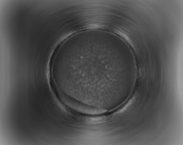 X0000090701034200707201154