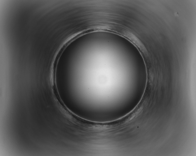 X0000090701036200707201154