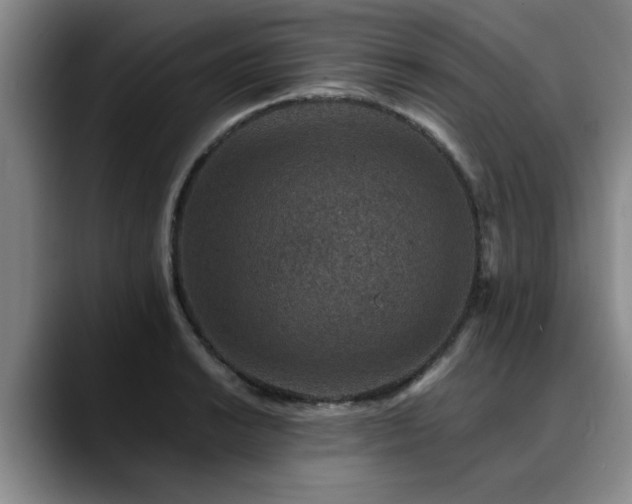 X0000090701038200707201154