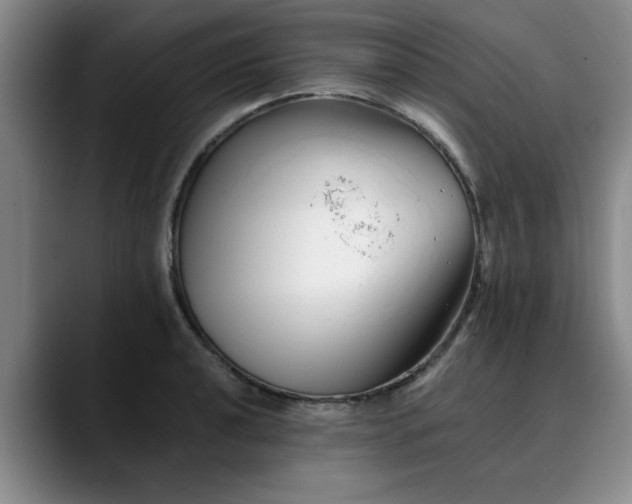 X0000090701040200707201154
