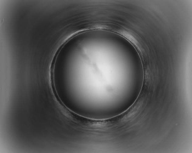 X0000090701047200707201154