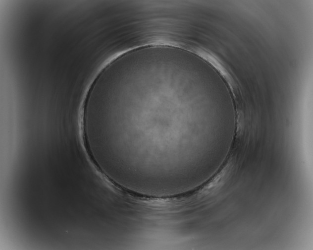 X0000090701048200707201154