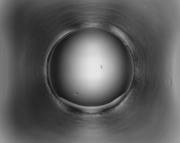 X0000090701050200707201154