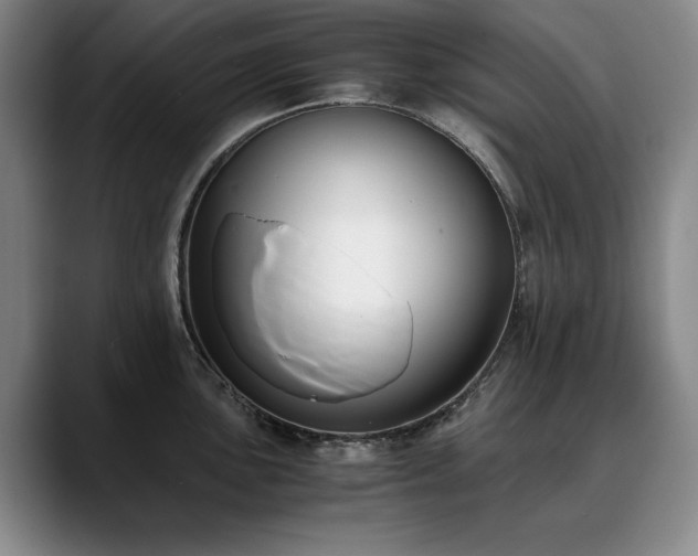 X0000090701051200707201154