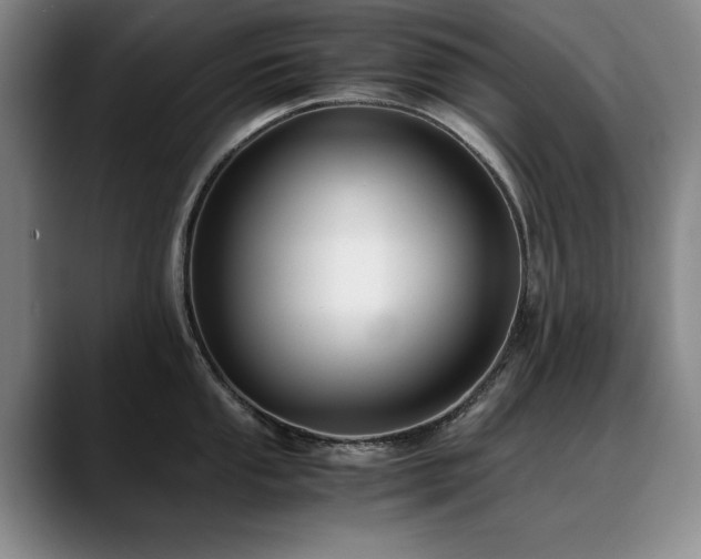 X0000090701053200707201154