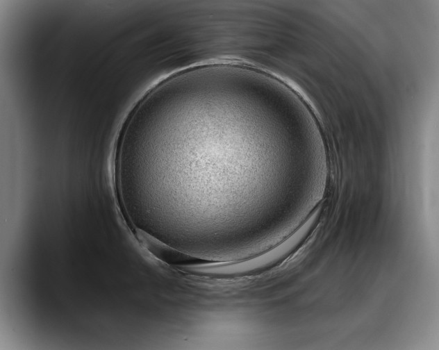 X0000090701054200707201154