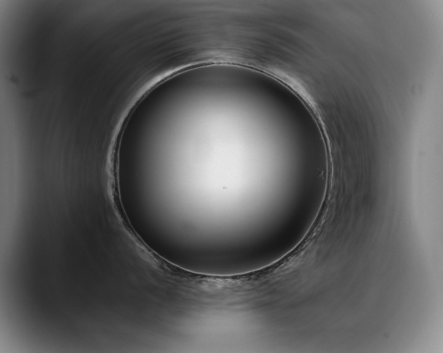 X0000090701056200707201154