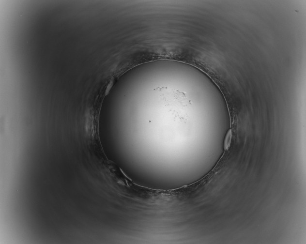 X0000090701058200707201153