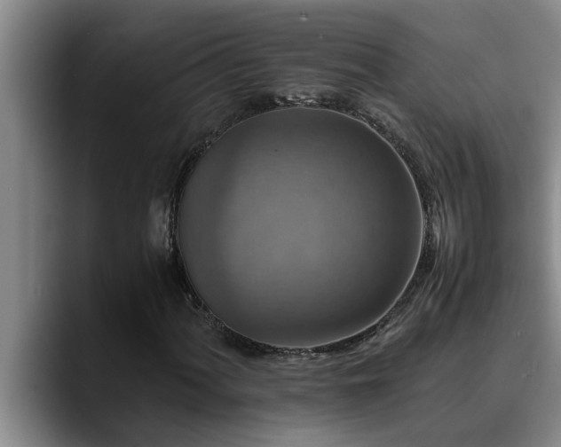 X0000090701060200707201153