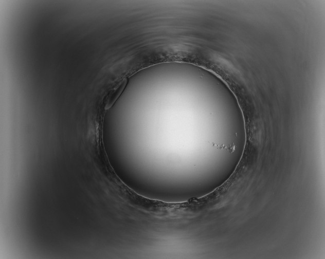 X0000090701061200707201153