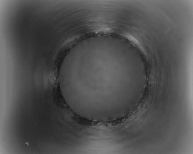X0000090701063200707201153