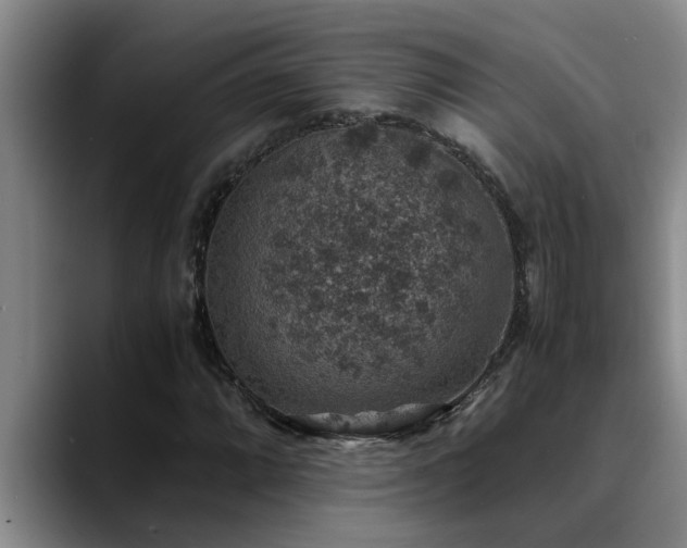 X0000090701064200707201153