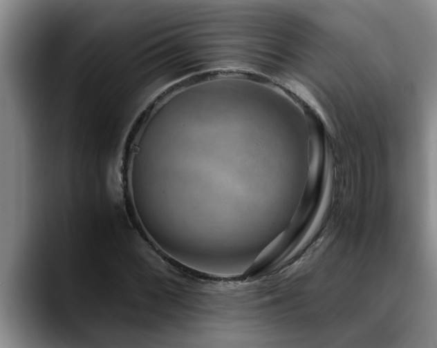 X0000090701068200707201153