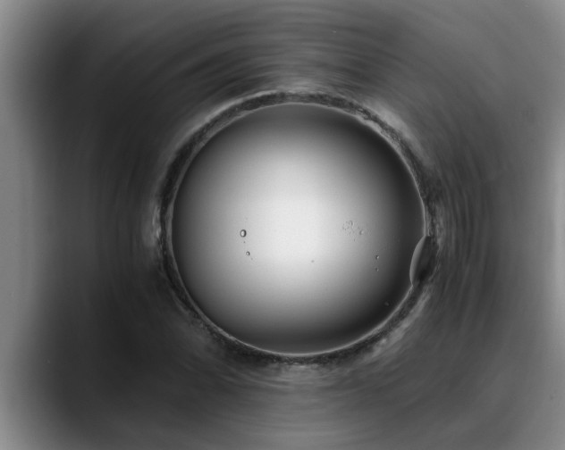 X0000090701070200707201153