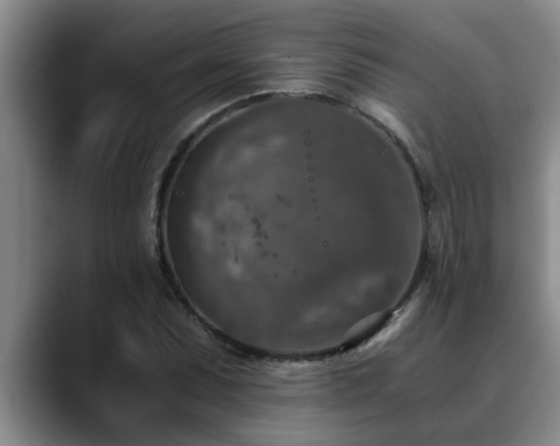 X0000090701071200707201153