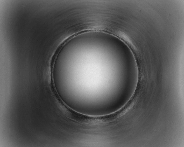 X0000090701079200707201153