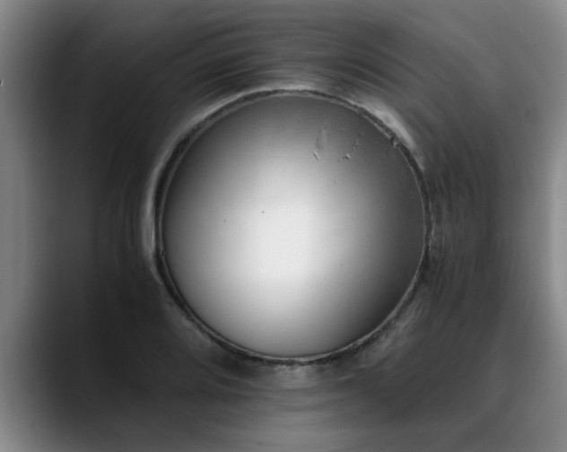 X0000090701080200707201153