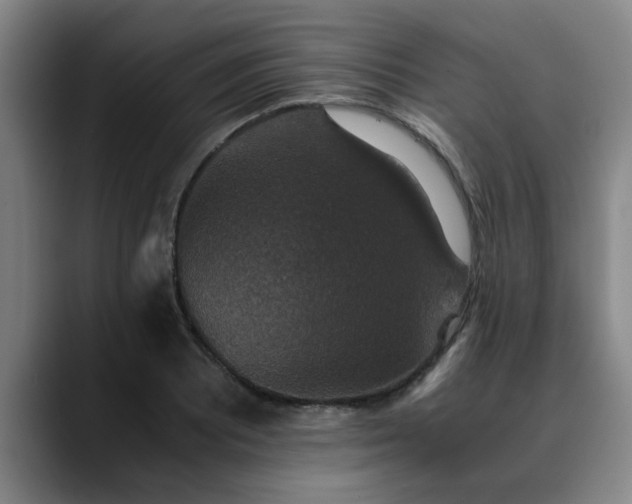 X0000090701081200707201153