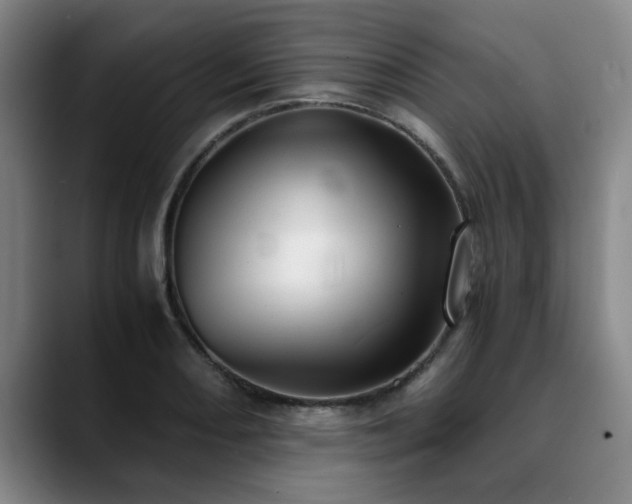 X0000090701082200707201153
