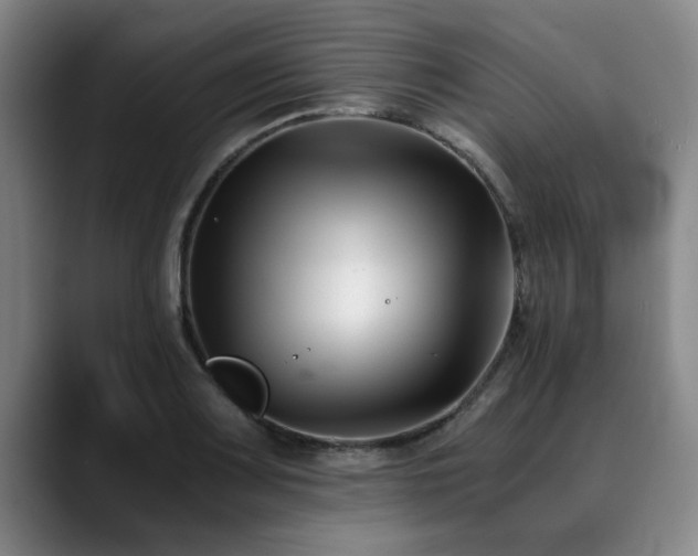 X0000090701083200707201153
