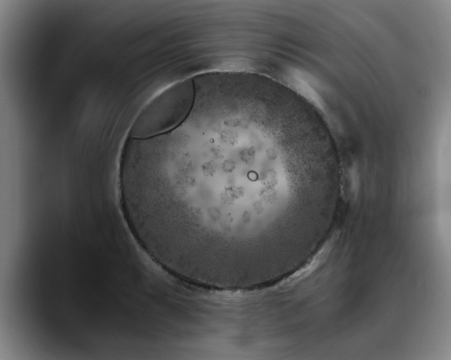 X0000090701087200707201153