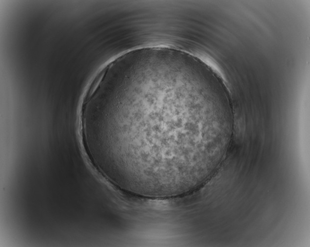X0000090701088200707201153