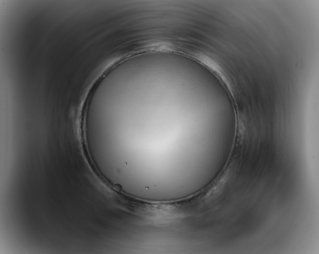 X0000090701090200707201153