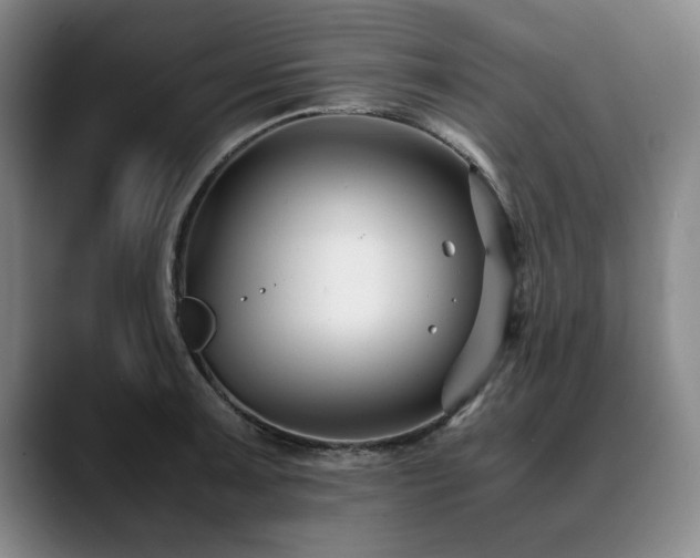 X0000090701091200707201153