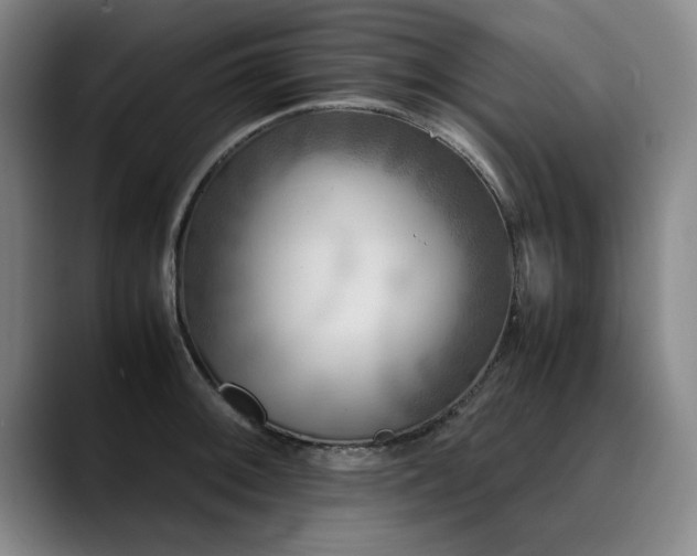 X0000090701092200707201153