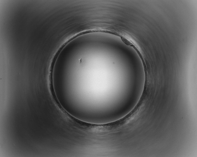 X0000090701093200707201153