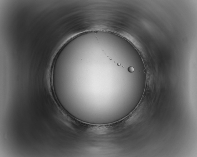 X0000090701094200707201153