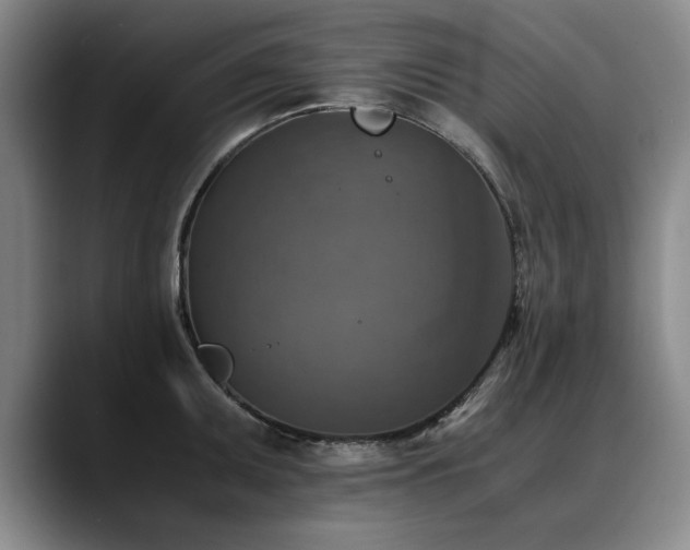X0000090701095200707201153