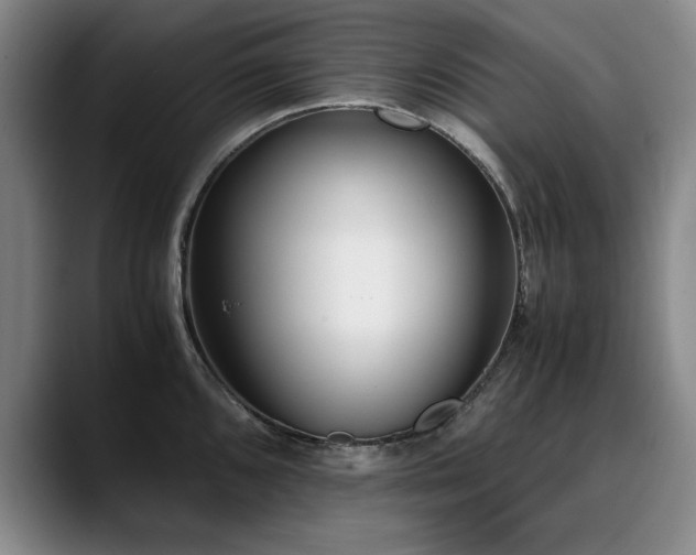 X0000090701096200707201153