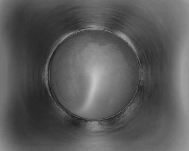 X0000090701098200707201153