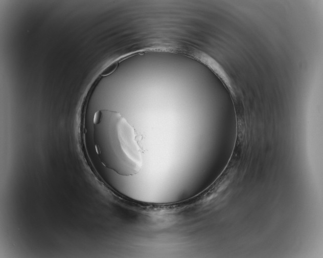 X0000090701099200707201153