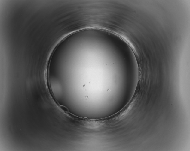 X0000090701100200707201153