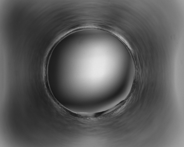 X0000090701101200707201153