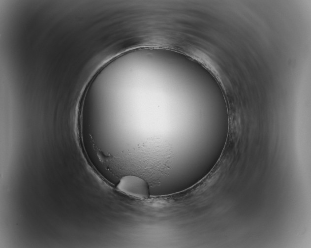 X0000090701103200707201153