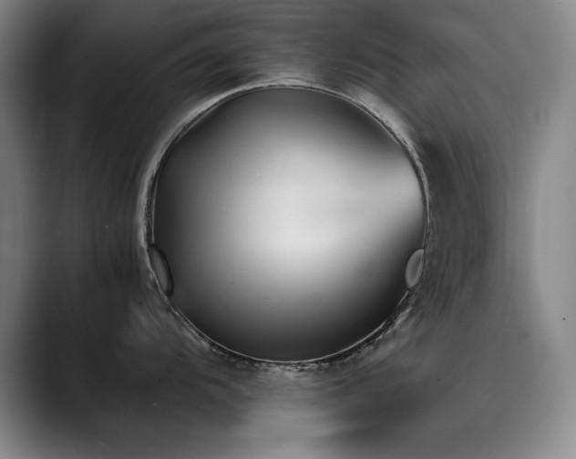 X0000090701104200707201153
