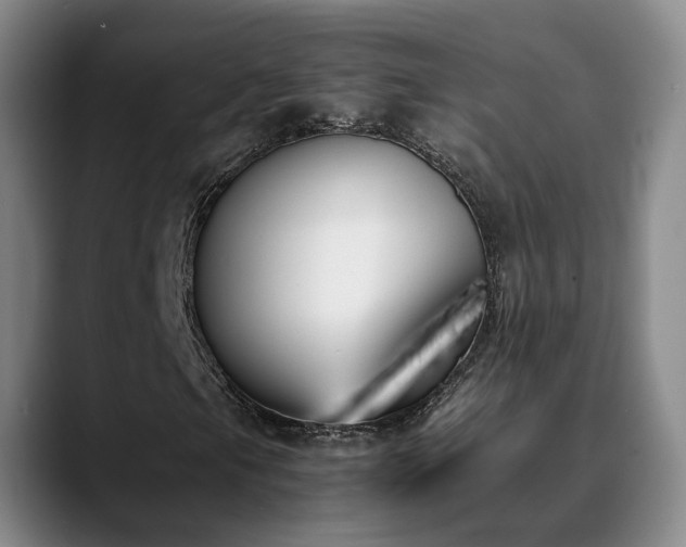 X0000090701105200707201152