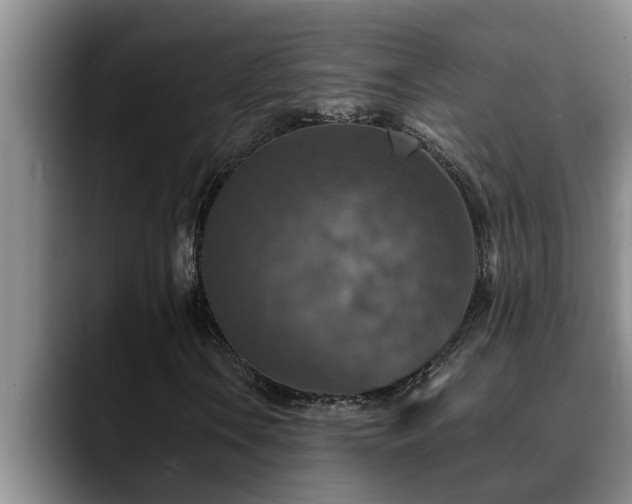X0000090701106200707201152