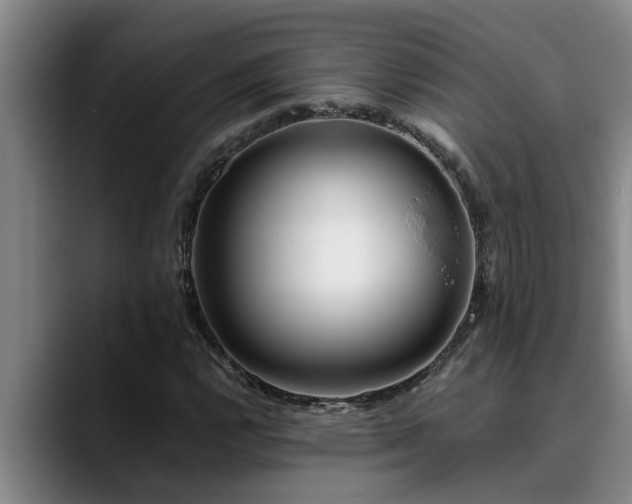 X0000090701112200707201152